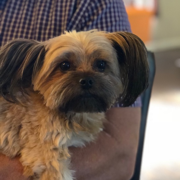 Meet your Posher, Caleb - Picture 1 of 1